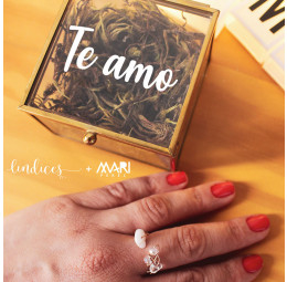 Anel Pedra do Amor - Lindices & Mari Peres - Te amo