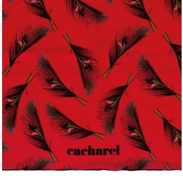Lenço Victoire Cacharel