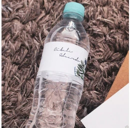 Água Ramos - 500 ml