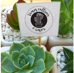 Carimbo Cultivar o Amor