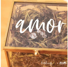 Anel Pedra do Amor - Lindices & Mari Peres - Amor