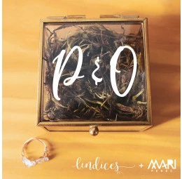 Anel Pedra do Amor - Lindices & Mari Peres - Manuscrito