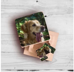 Pen Drive em Madeira Personalizado com Foto - Pet